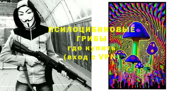мдма Белокуриха