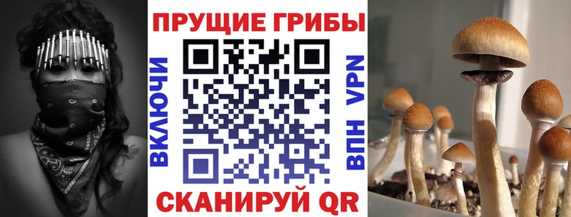 Псилоцибиновые грибы MAGIC MUSHROOMS  цены наркотик  Киров 
